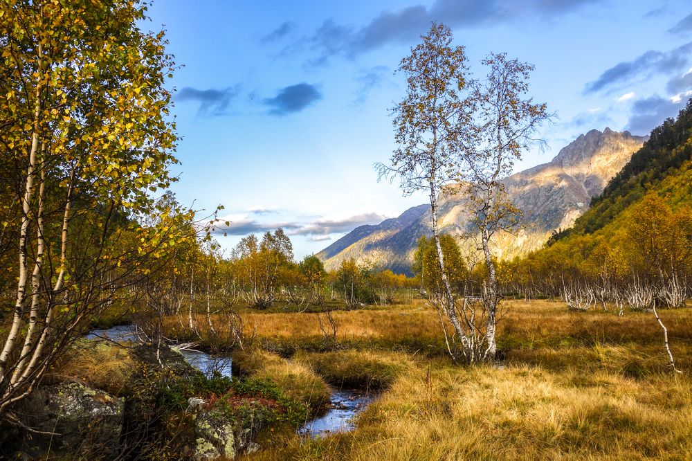 Photograph by Владимир Ганюшкин