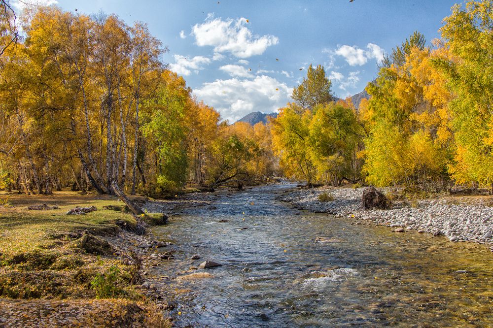 Золотой листопад.