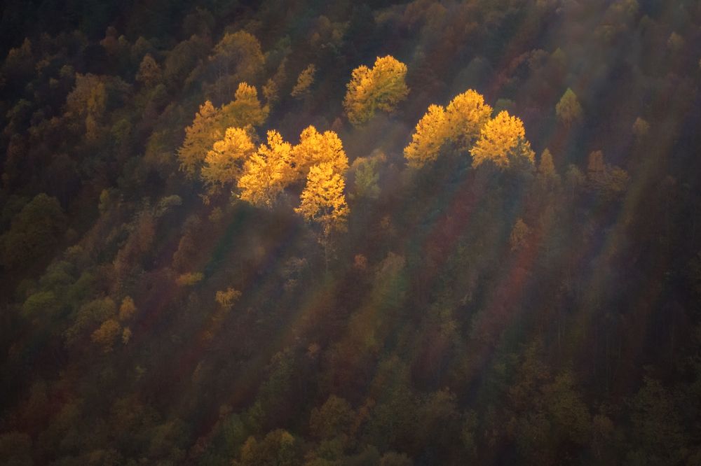 Краски осени.