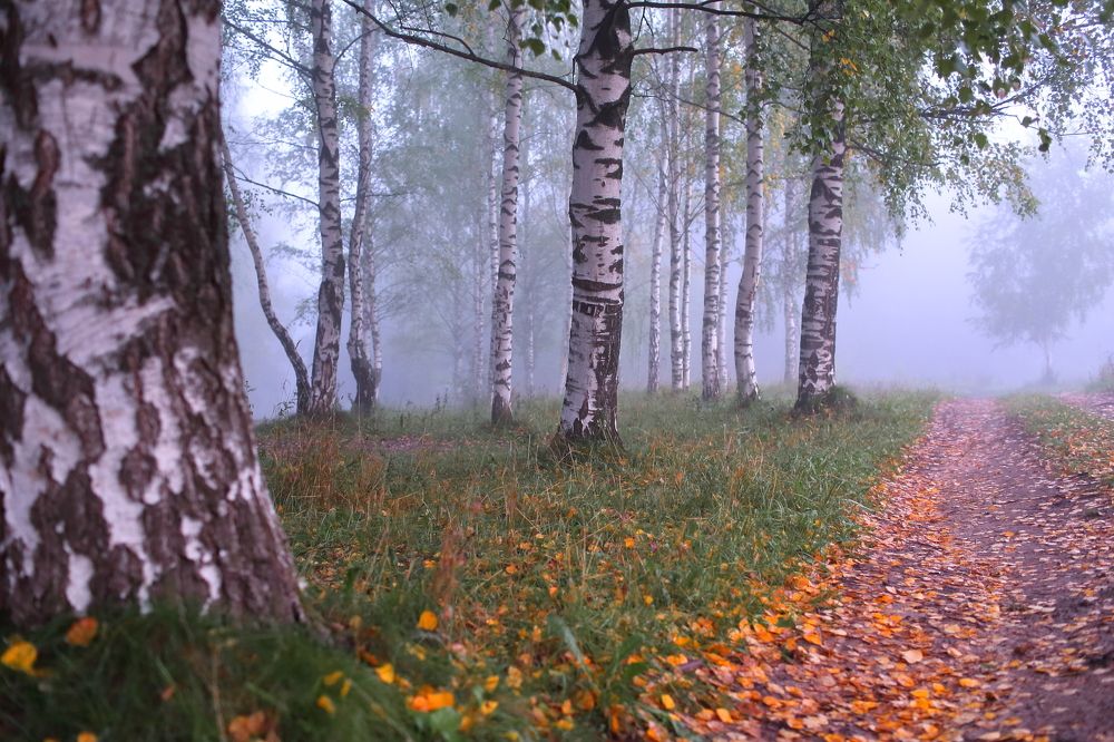 Photograph by Роман Микрюков