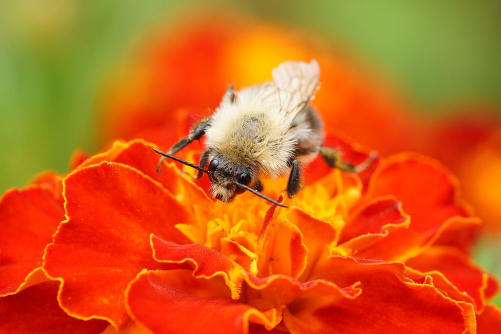 Photograph by Алексей Андреев