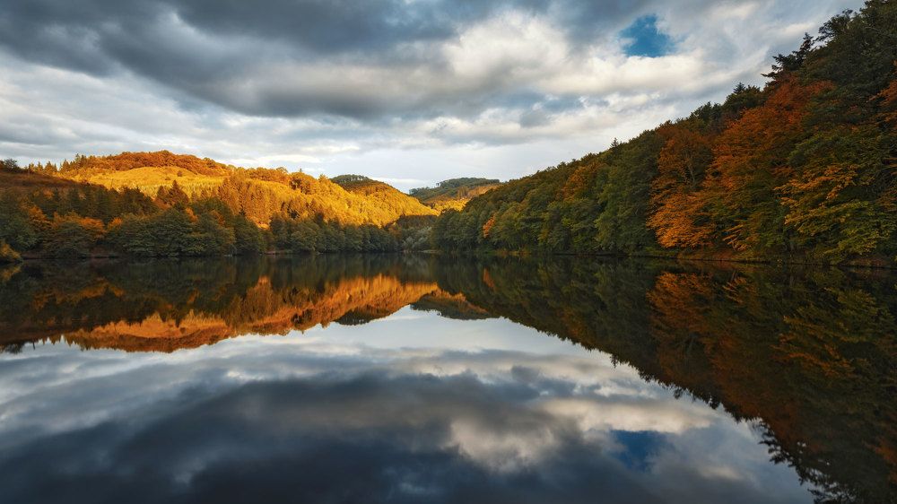 Photograph by Iris Lara