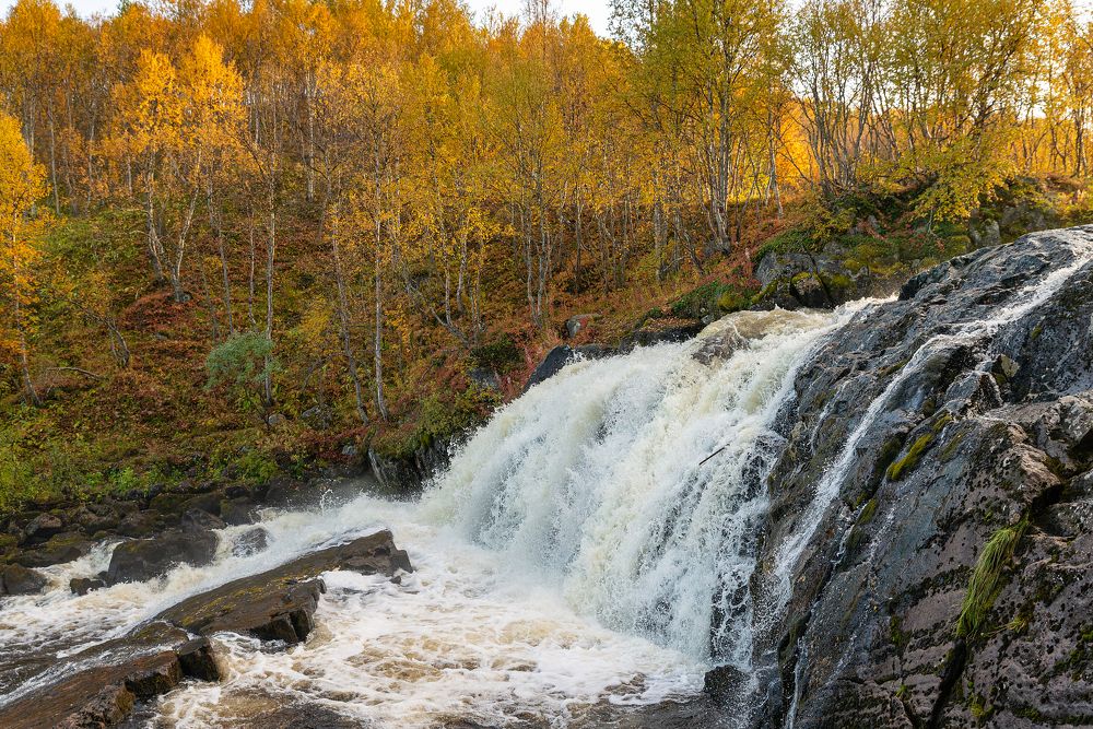 Photograph by Андрей