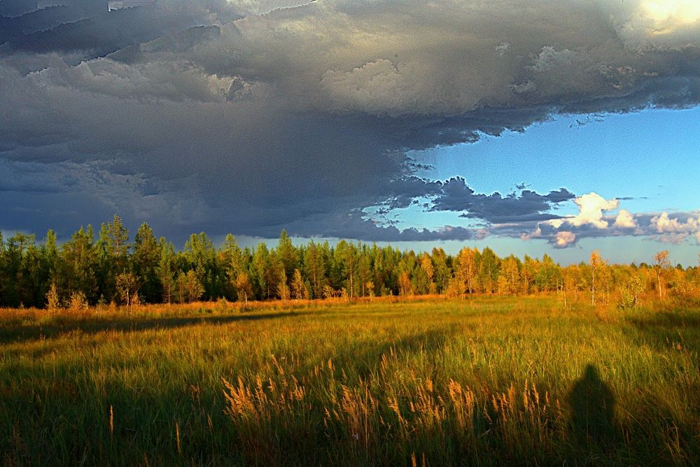 Photograph by Николай Почкалов