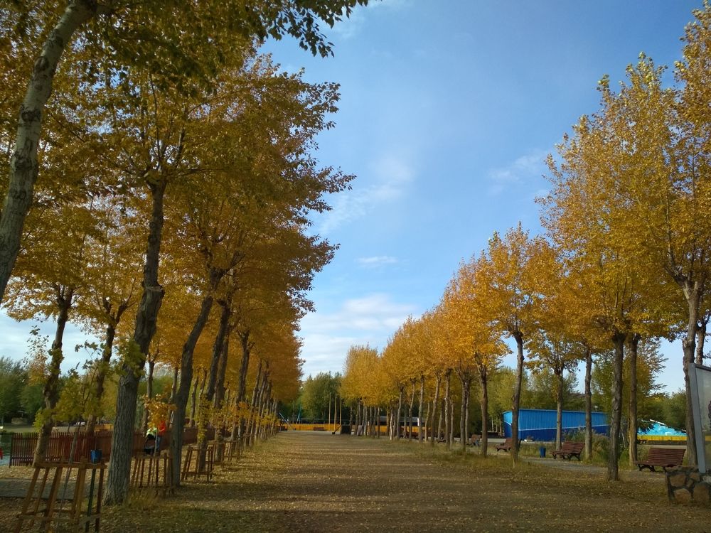 Photograph by Владислав Д