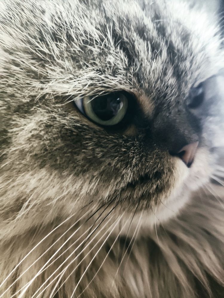 Photograph by Алексей Ларин