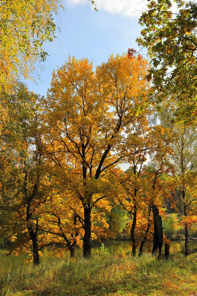 Photograph by Денис