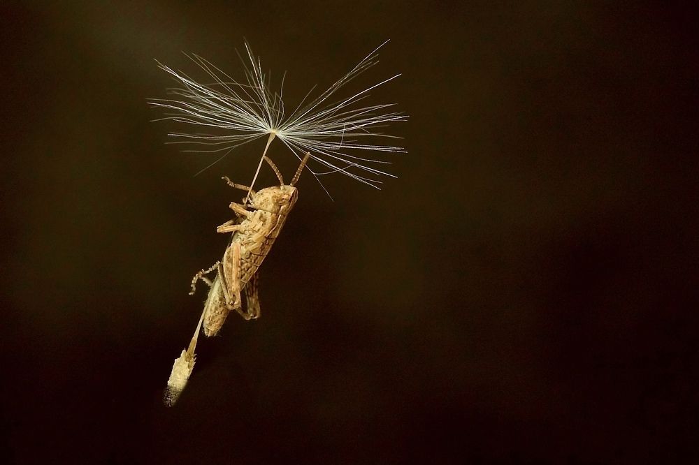 Photograph by Роман Турсков