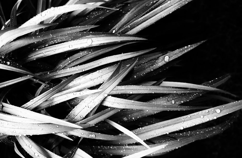 Photograph by Людмила М