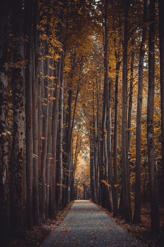 Photograph by Михаил