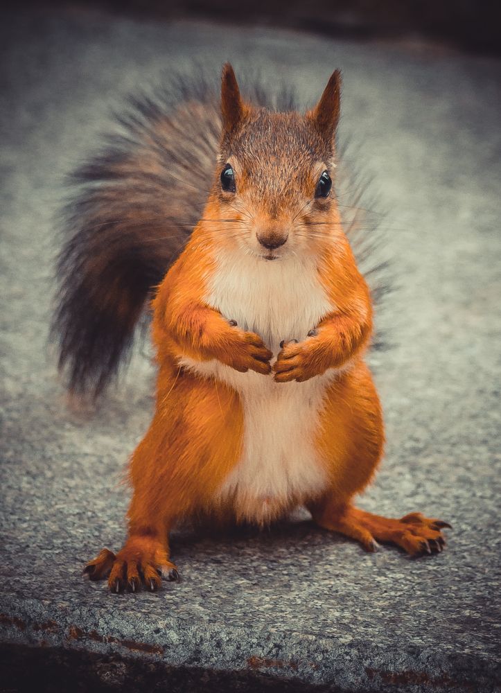 Photograph by Михаил