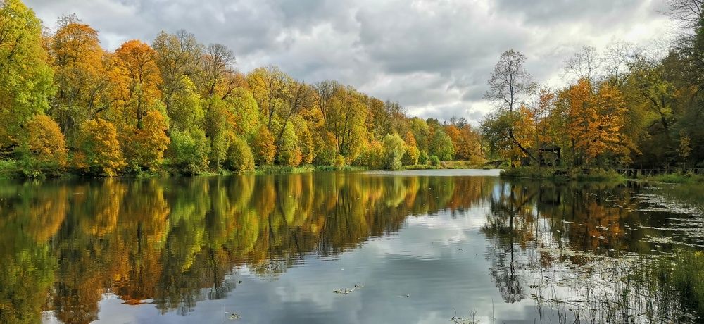 Зеркало осени