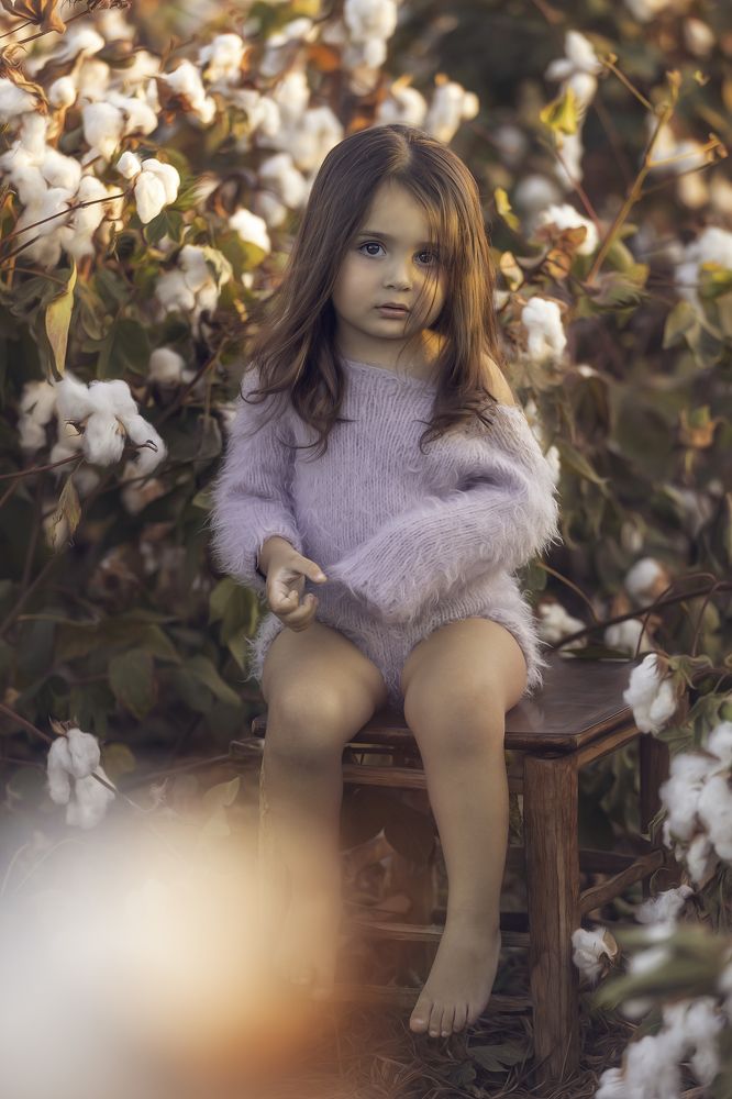 Photograph by Tahel Shenhav