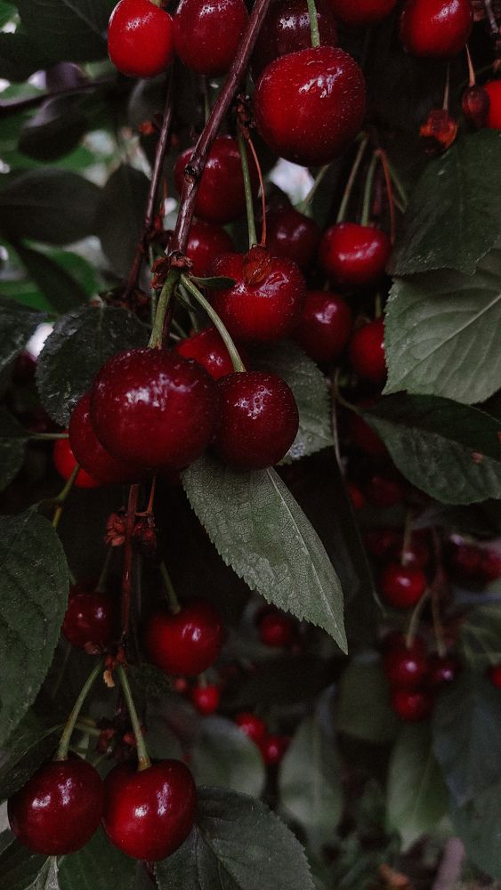 Photograph by Александра Кузнецова