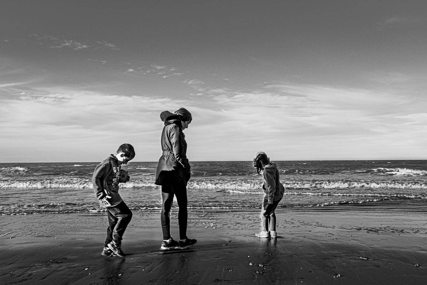 Photo #6542108