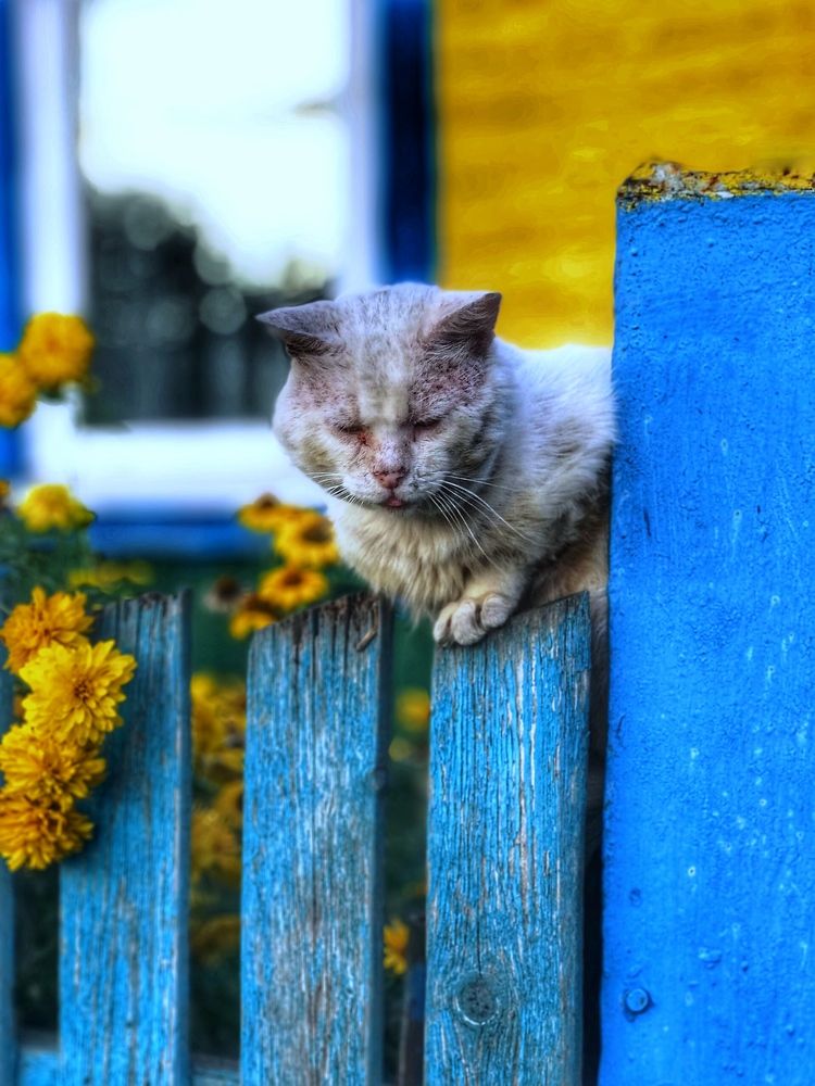 Photograph by Армен Егиян