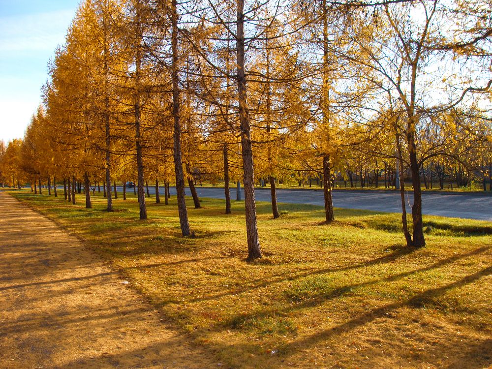 Photograph by Наталья Муравьёва