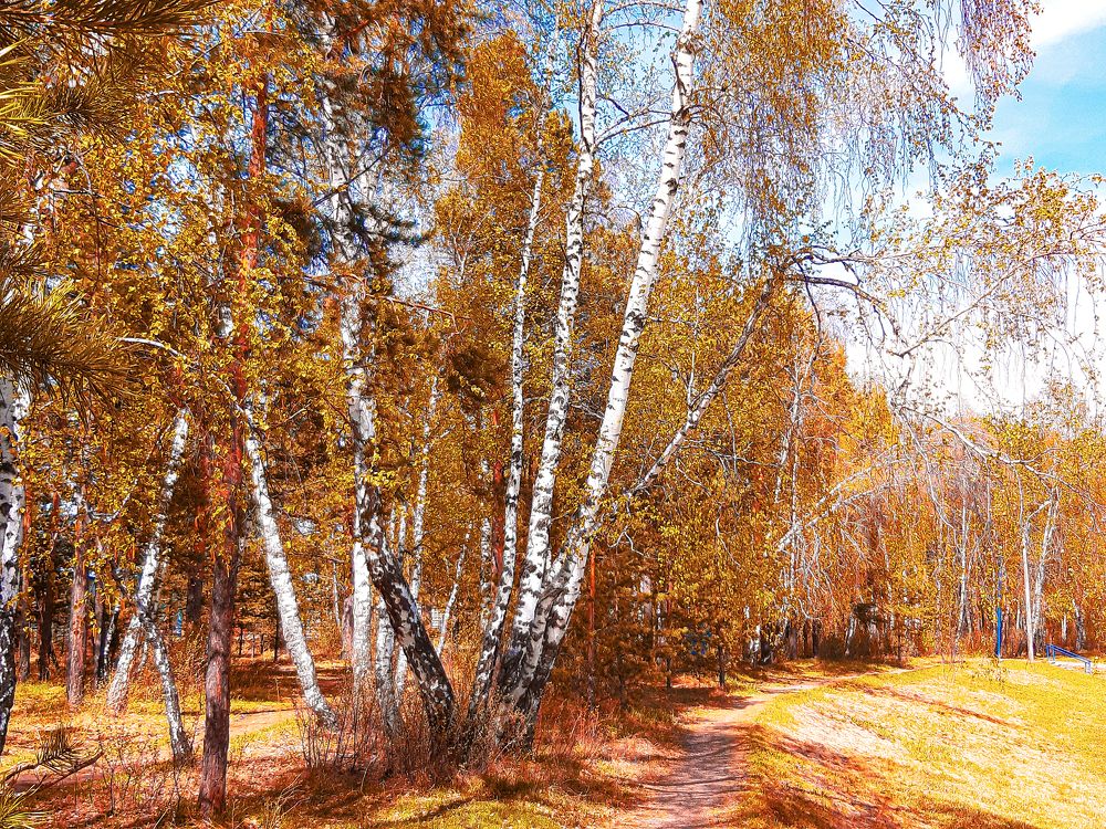 Photograph by Наталья Муравьёва