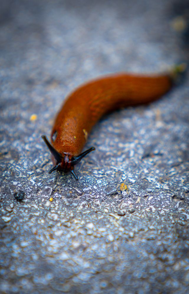 Photograph by Дима