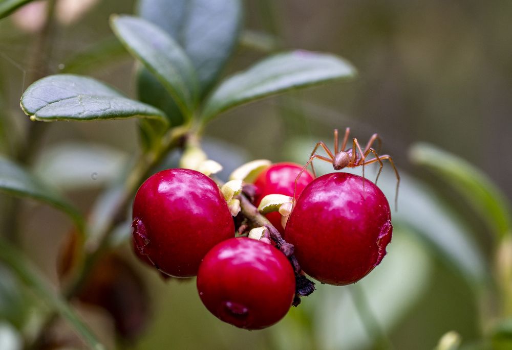 Photograph by Юрий Чернов