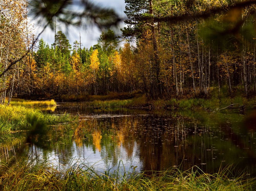 Фотография автора Александр Кадышев