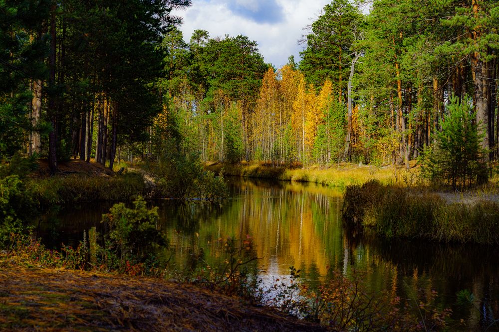 Вачимъяун осенью.