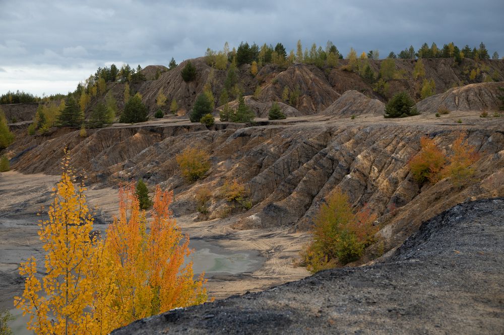 Photograph by Евгения Гудкова