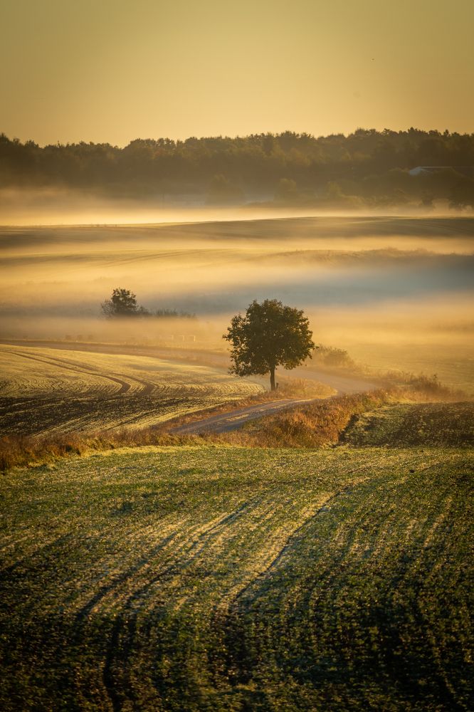 Photograph by Dzintra Zvagina