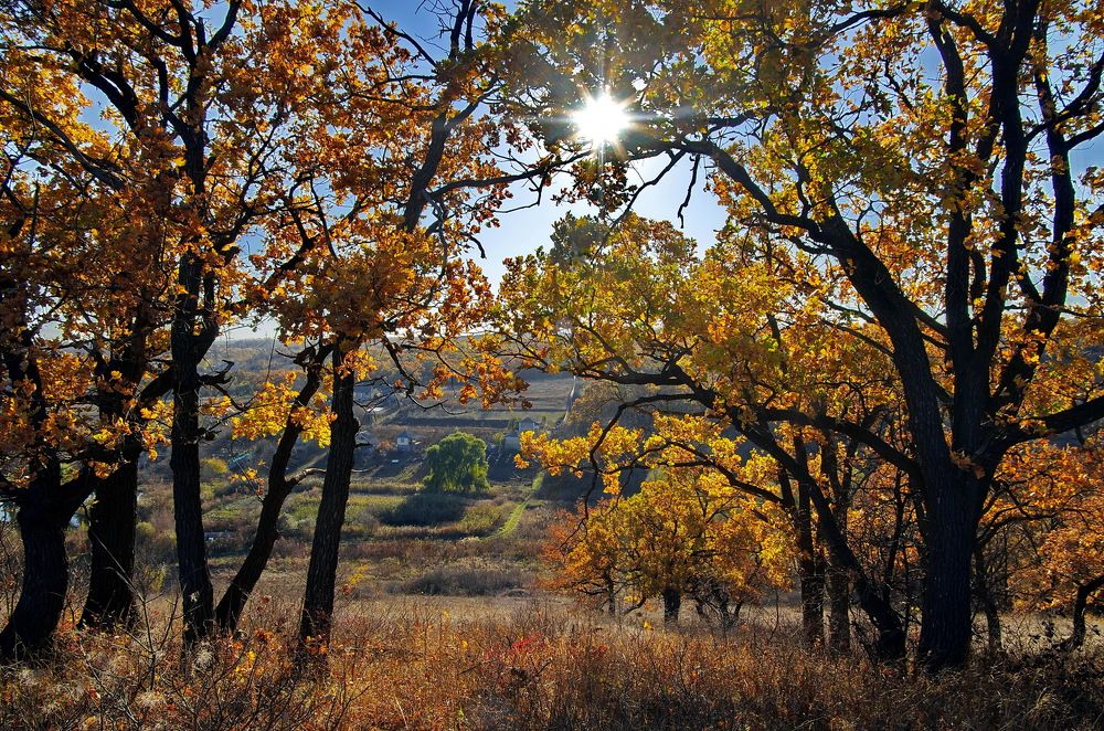 Photograph by Анатолий Святой