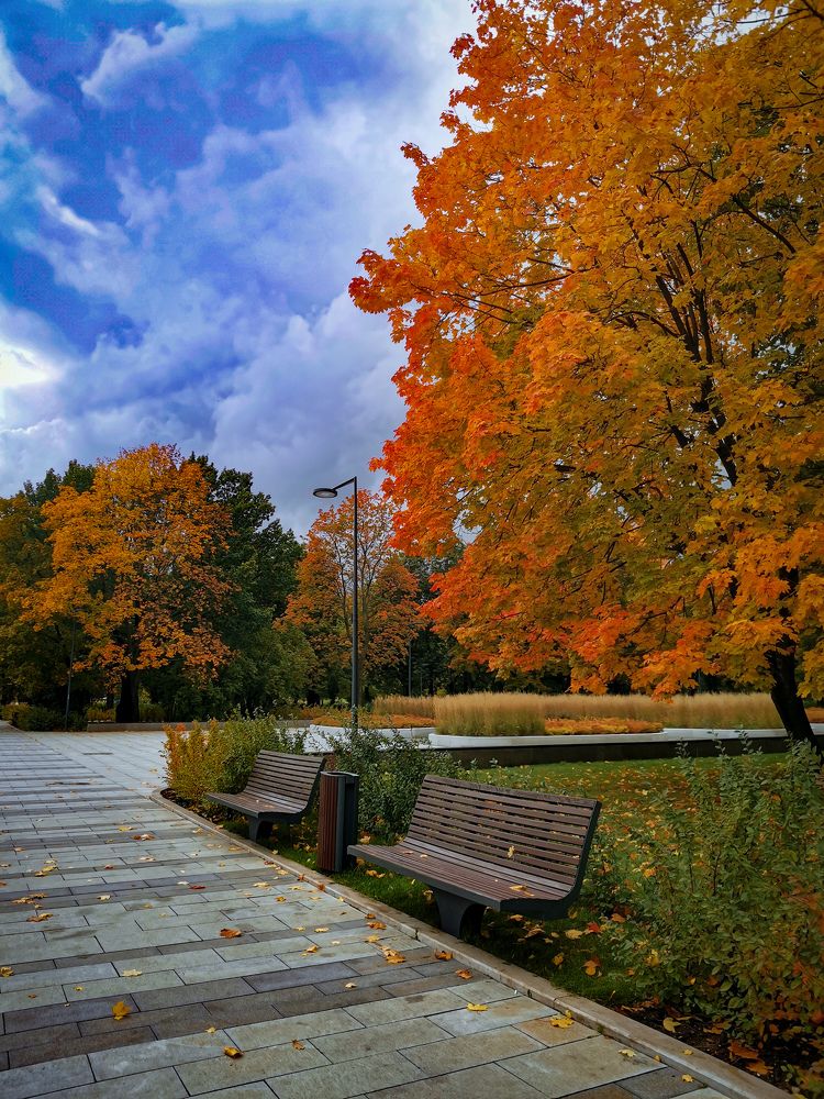 Photograph by Екатерина Слепнева