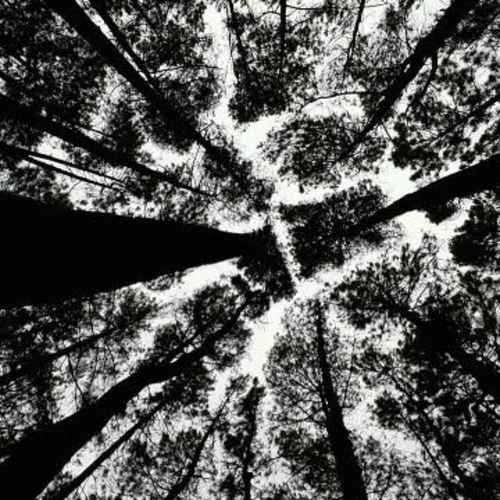 Photograph by ANTONIUS SIDABUTAR