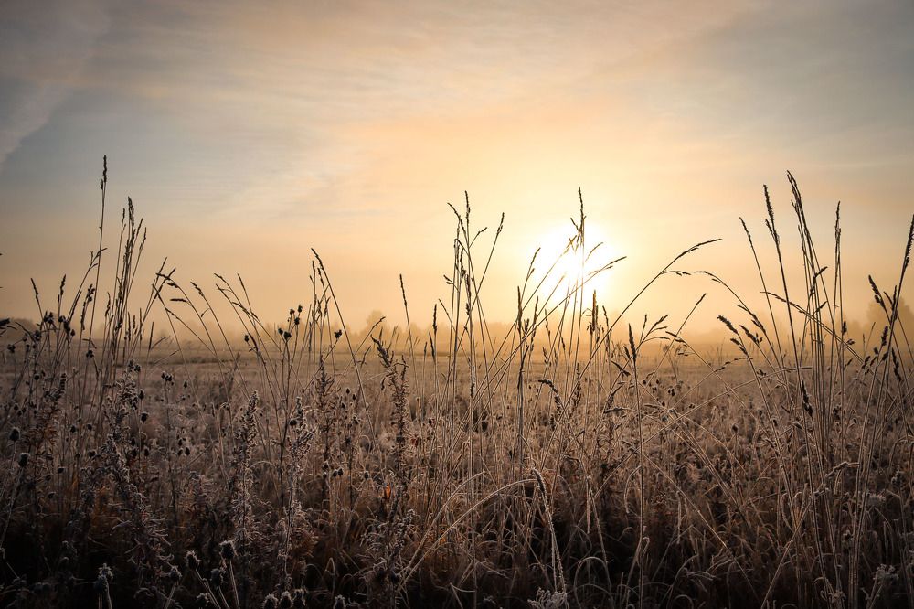 Photograph by Алёна Топорова