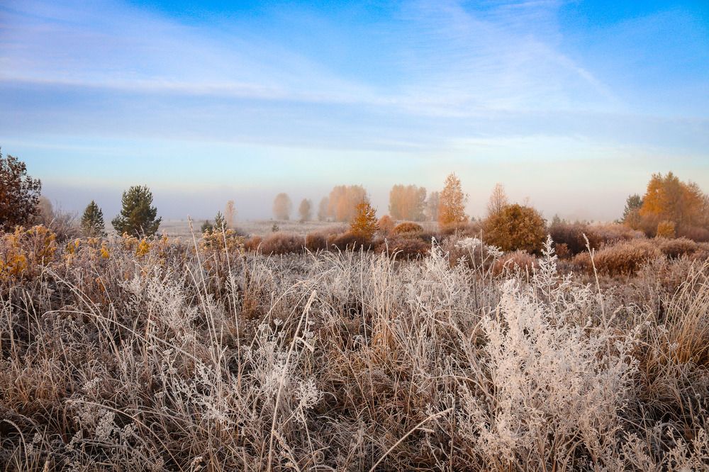 Photograph by Алёна Топорова