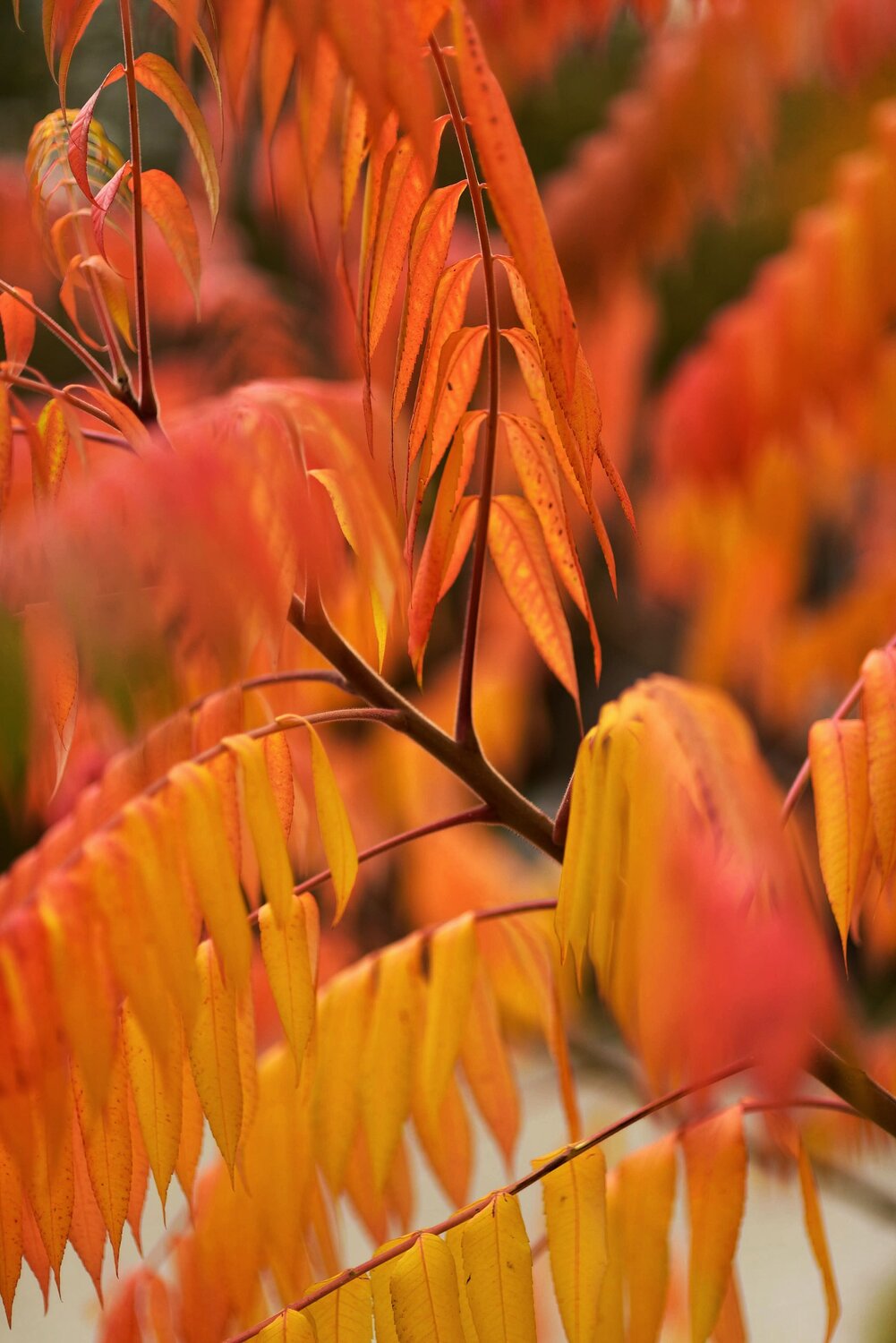 Photo #6542535