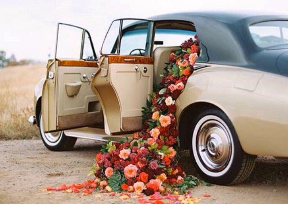 Photograph by Анастасия Ярошевич