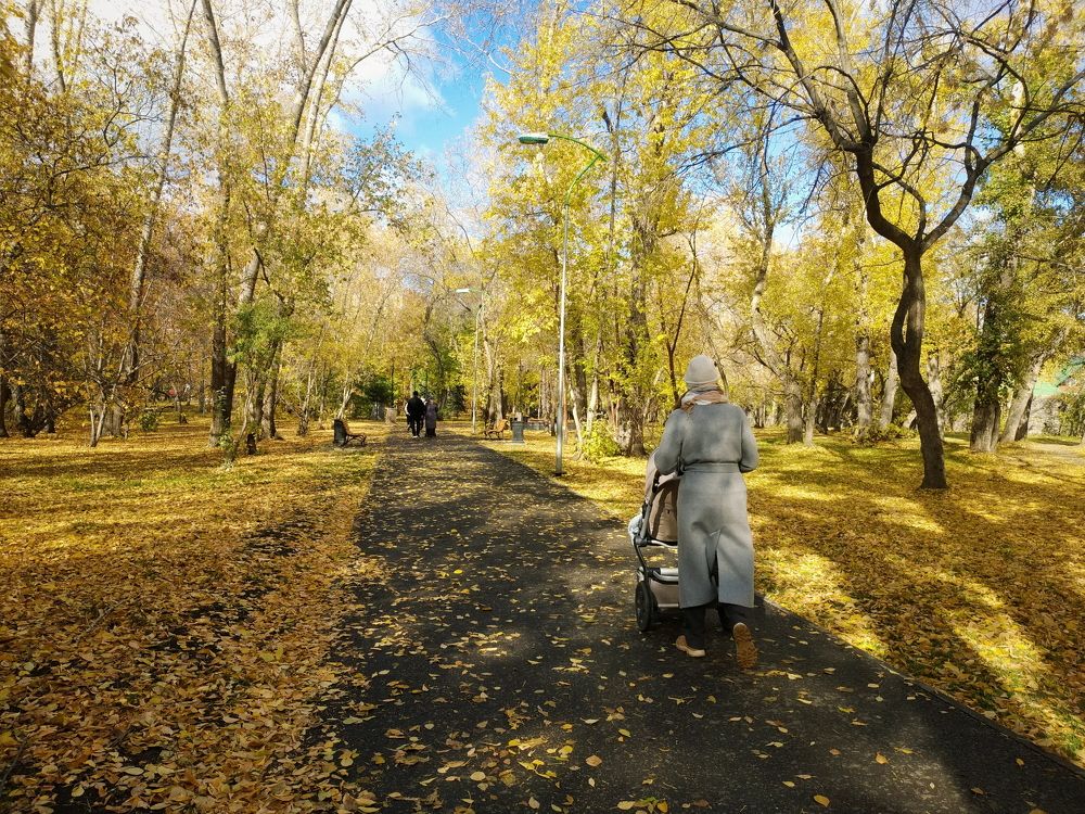 Photograph by Дмитрий Стрельцов