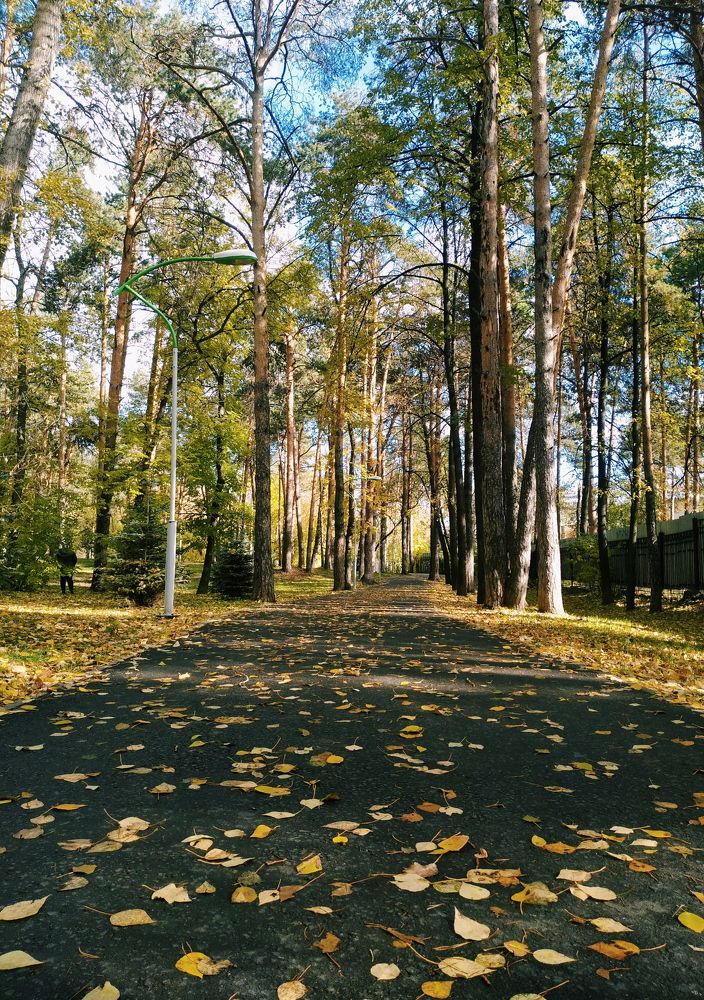 Photograph by Дмитрий Стрельцов