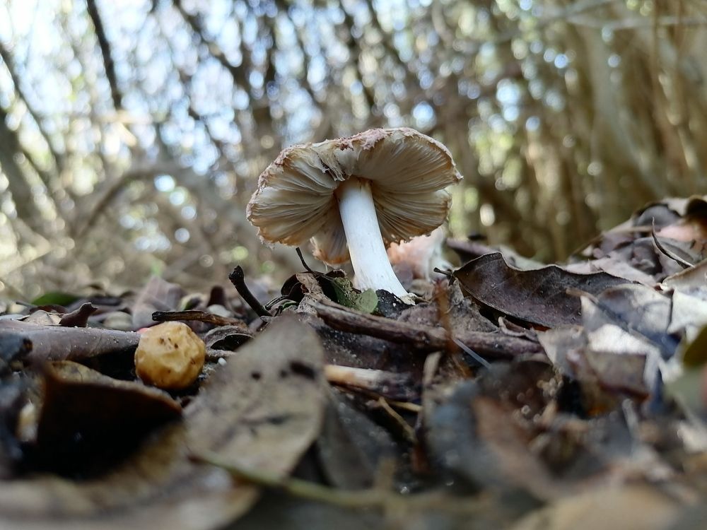 Photo #6542571