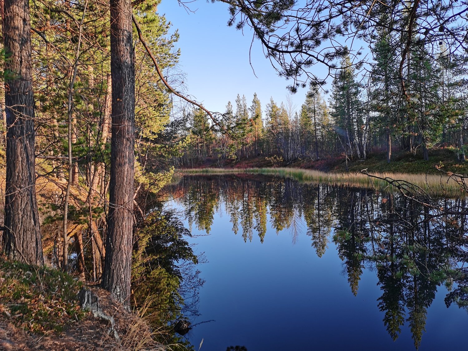 Photo #6542593