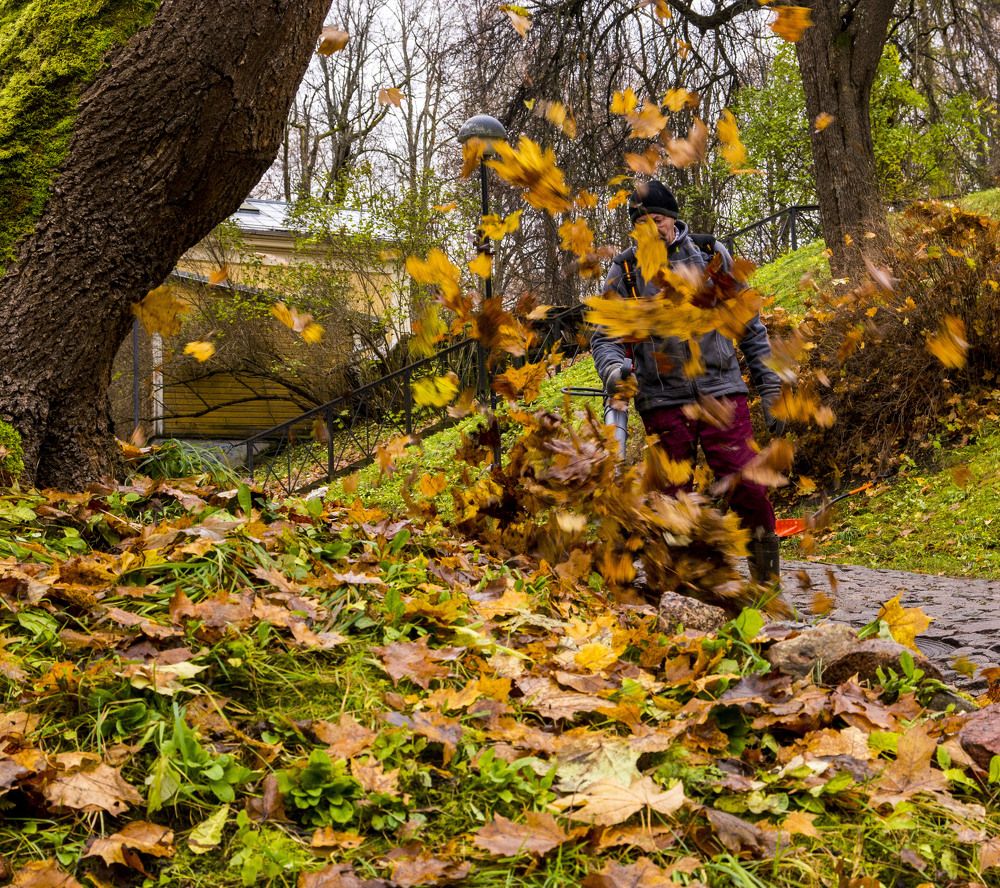 Осенняя уборка