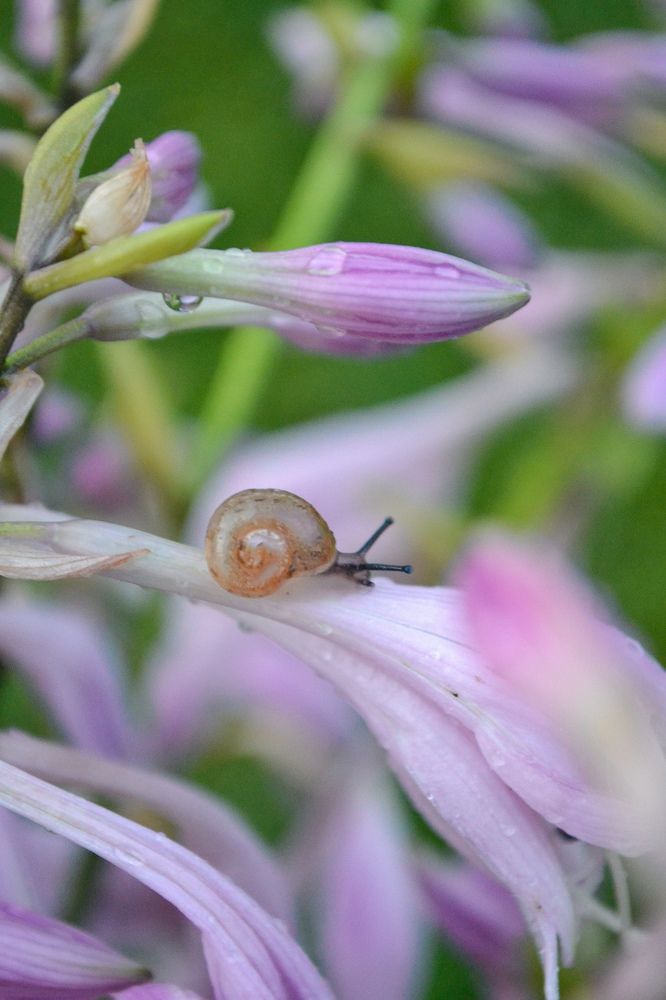Фотография автора Марина Гусева