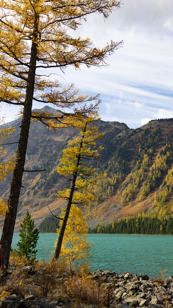 Фотография автора Елена Сова