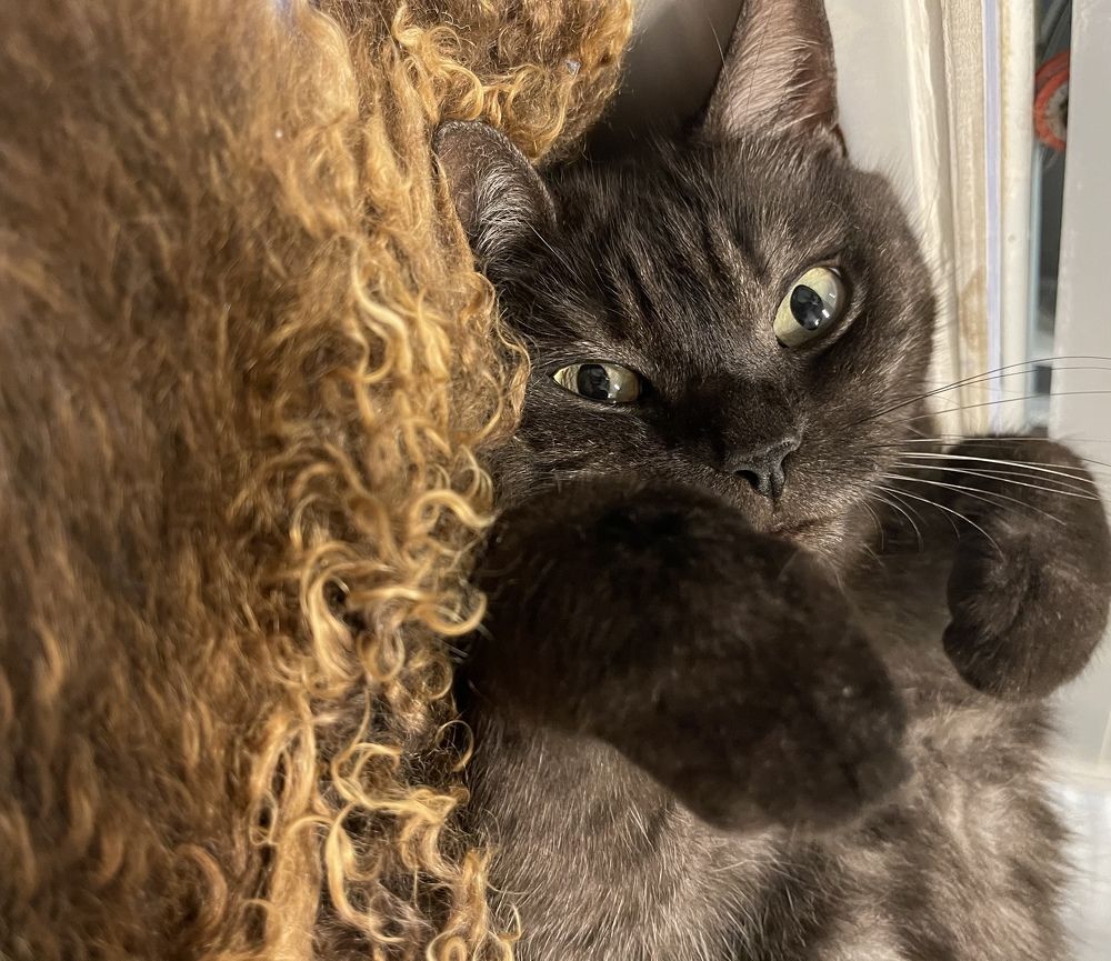 Photograph by Алина Захарова