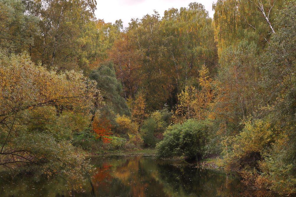 Photograph by Константин Лагоденко