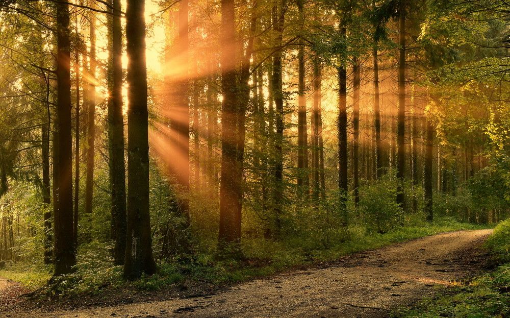 Photograph by Elena Wymann