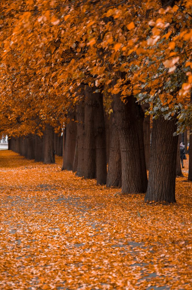 Photograph by Герман Локоцкий