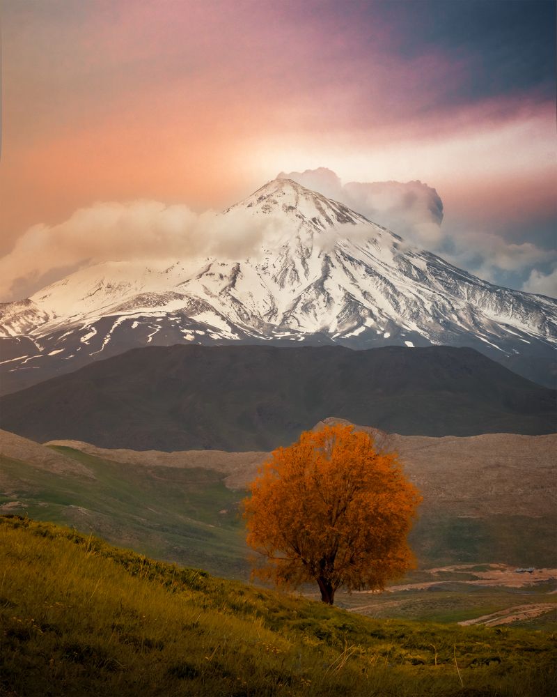 Photograph by Hamed Qane