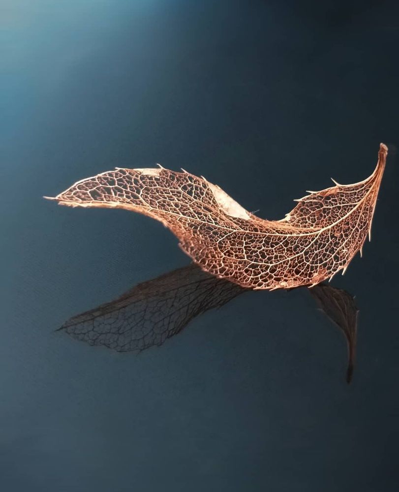 Photograph by Люда Яковлева