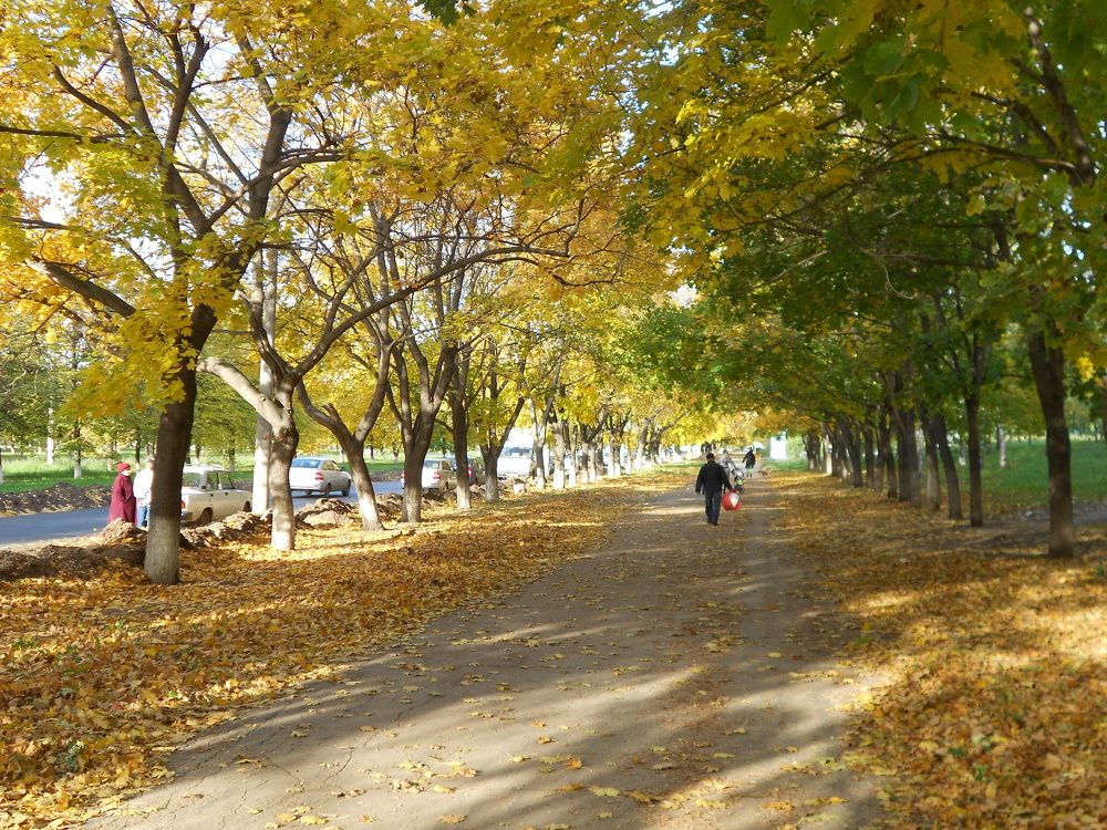 Photograph by Любовь Панфилова