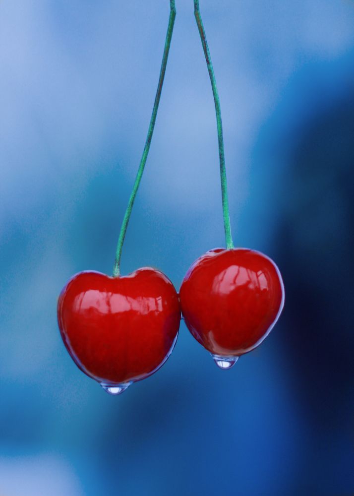 Photograph by Евгения Даниленко